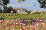 Château Montrose 2013, AOP Saint-Estèphe