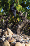 Château Montrose 2013, AOP Saint-Estèphe