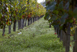 Château La Connivence 2021, AOP Pomerol