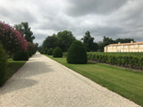 Le Petit Mouton de Mouton Rothschild 2022, AOP Pauillac