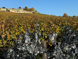 Château La Gaffelière 2020, AOP Saint-Emilion Grand Cru Classé