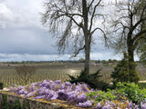 Château Beauregard 2020, AOP Pomerol