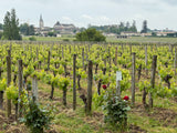 Château Soutard 2020, AOP Saint-Emilion Grand Cru Classé