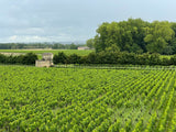 Château Marquis d'Alesme Becker 2022, AOP Margaux