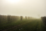 Château La Connivence 2021, AOP Pomerol