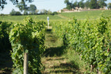 Château Dassault 2014, AOP Saint-Emilion Grand Cru Classé