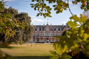 Château Cantenac Brown 2015, AOP Margaux