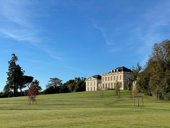 Château Phélan Ségur 2018, AOP Saint-Estèphe