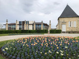 Château Beychevelle 2019, AOP Saint-Julien 4ème Grand Cru Classé